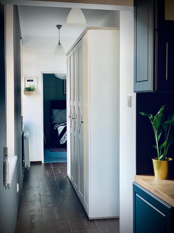 Apartamenty Krasicki Lidzbark Warmiński Dış mekan fotoğraf